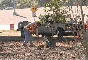 Hardy Toll Road Enhancement Project